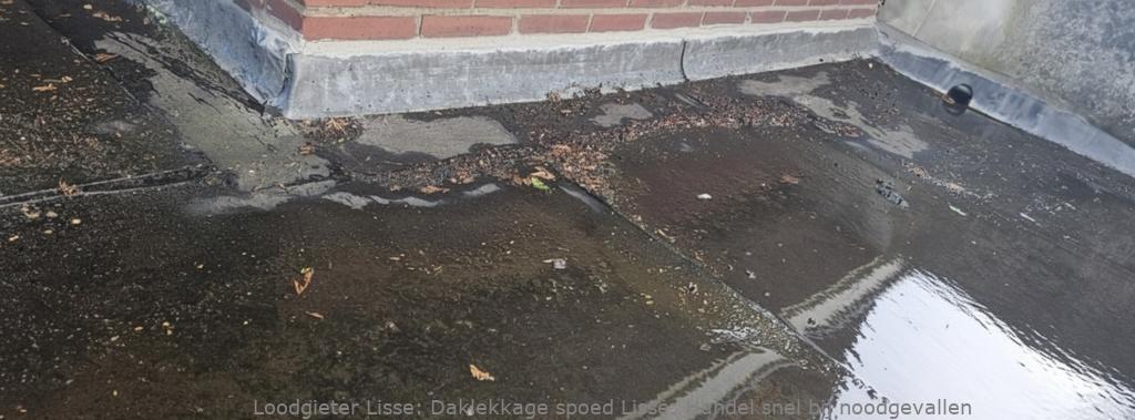Daklekkage Spoed Lisse
