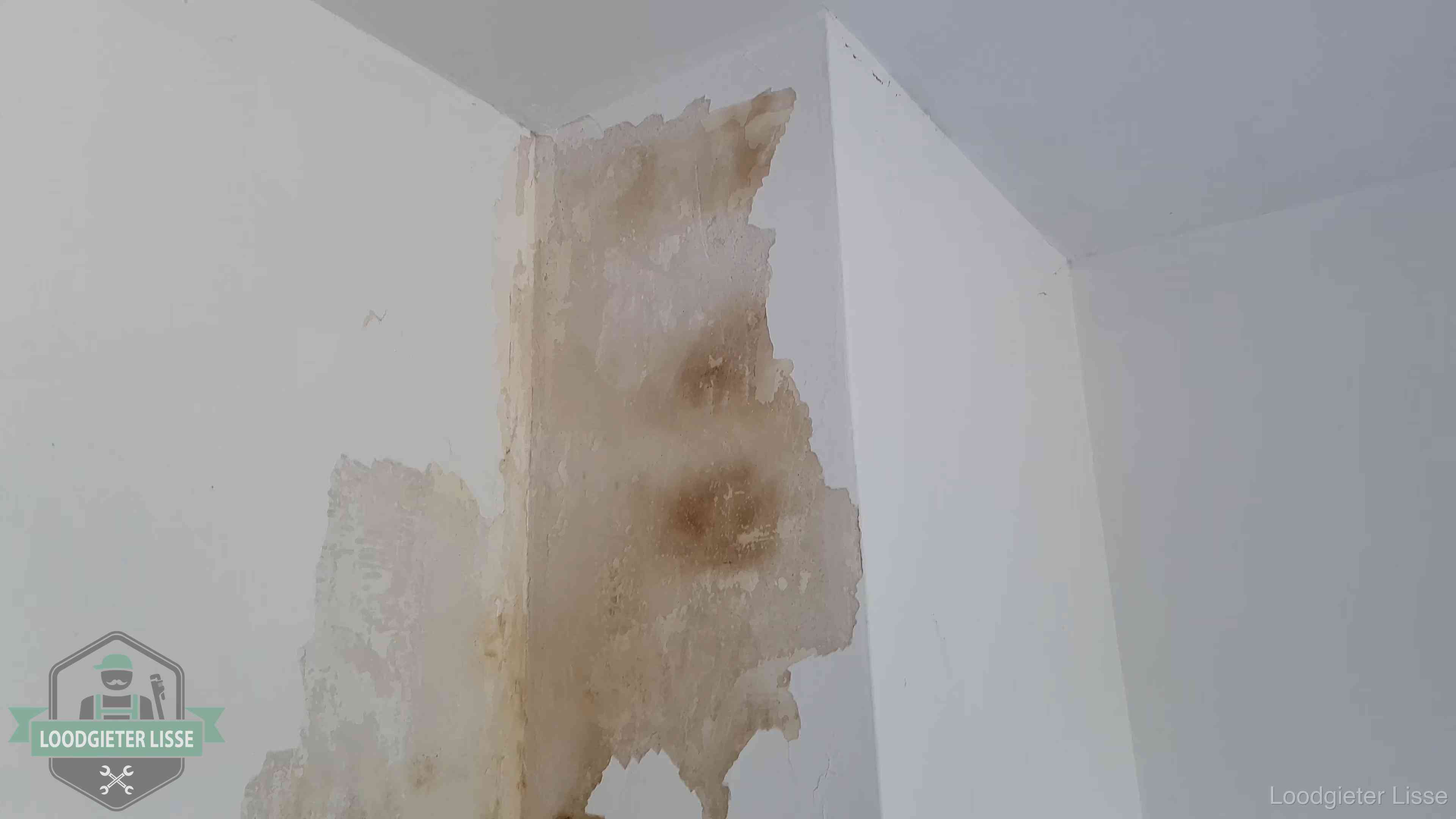 Daklekkage herkennen in Lisse Bruine vochtkringen en afbladderend stucwerk op een binnenmuur in Lisse, een eerste teken van daklekkage