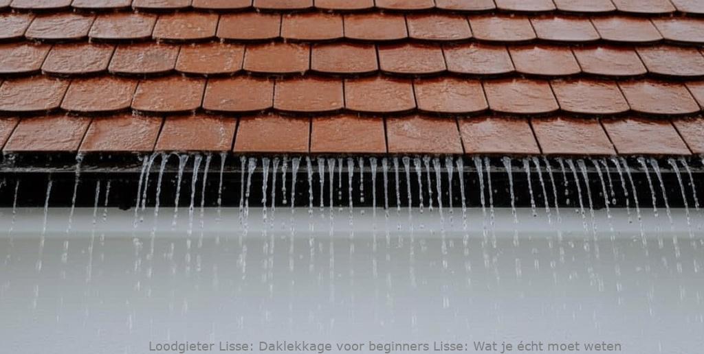 Daklekkage Voor Beginners Lisse