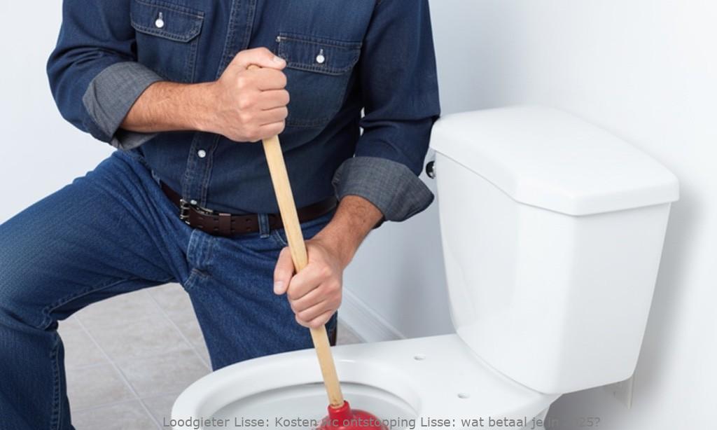 Kosten Wc Ontstopping Lisse