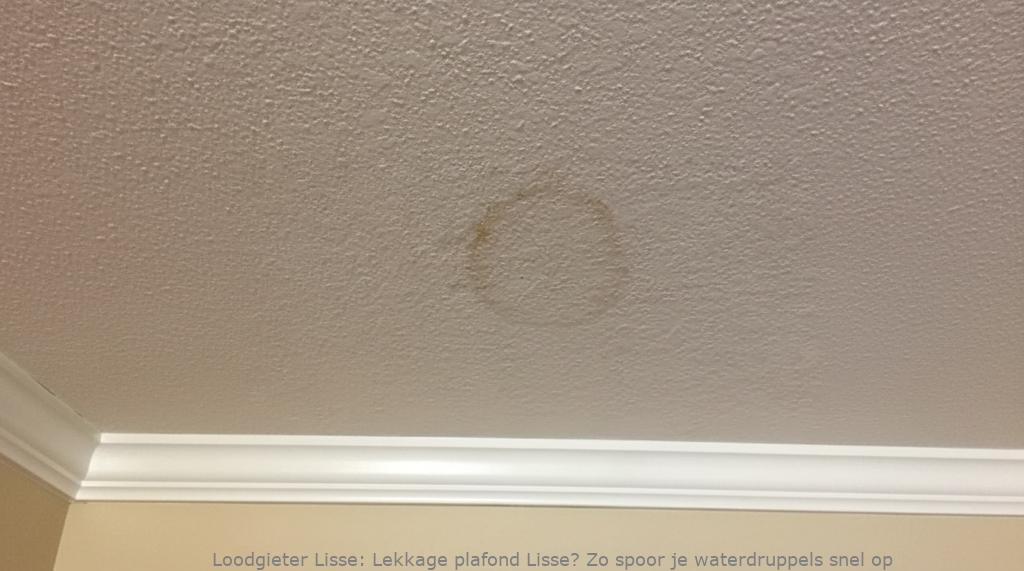 Lekkage Plafond Lisse