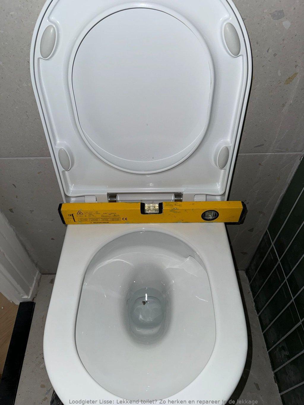 Lekkage Toilet Lisse