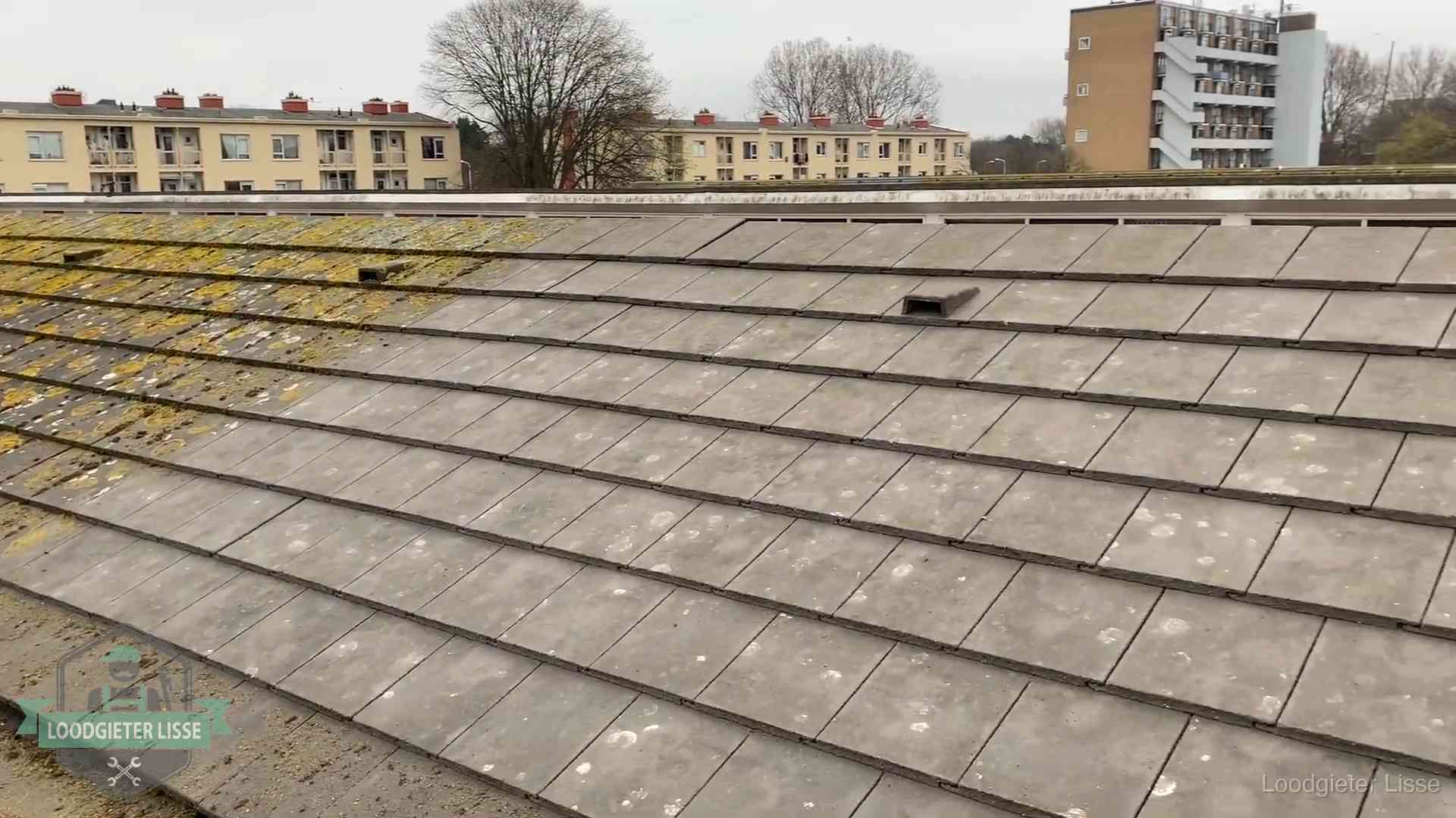 Dakpannen op een schuin dak in Lisse Schuin dak met betonpannen vol mos in Lisse, een risico op lekkage bij de pannen