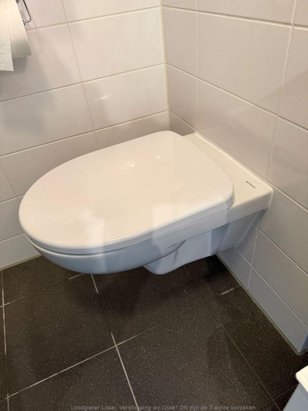 Tips Wc Verstopping Voorkomen Lisse