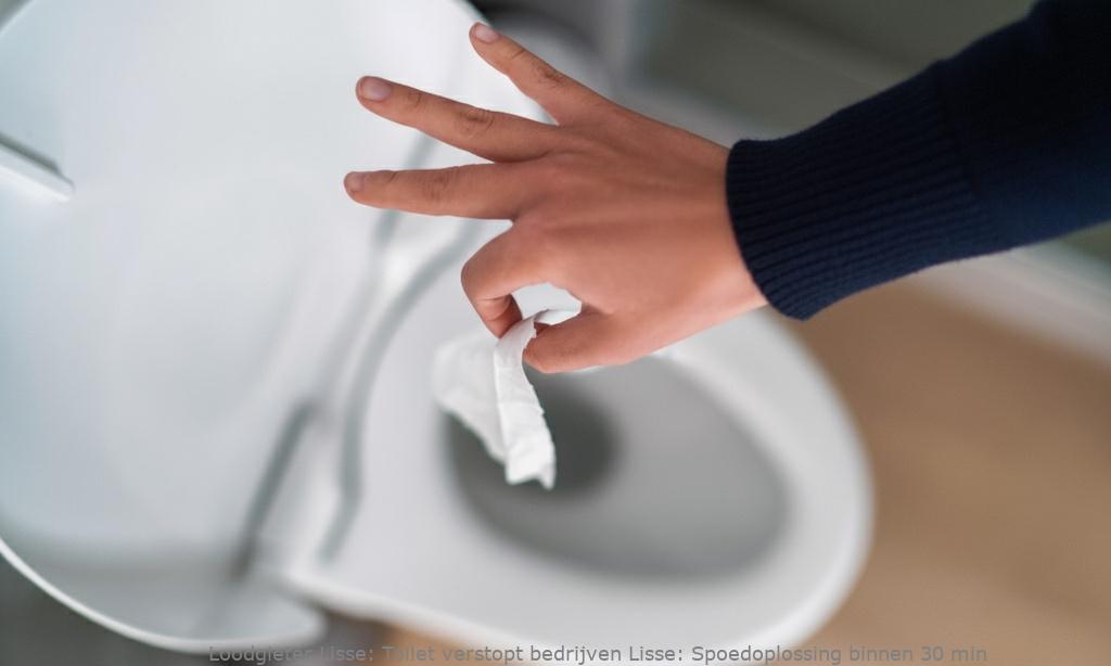 Toilet Verstopt Bedrijven Lisse