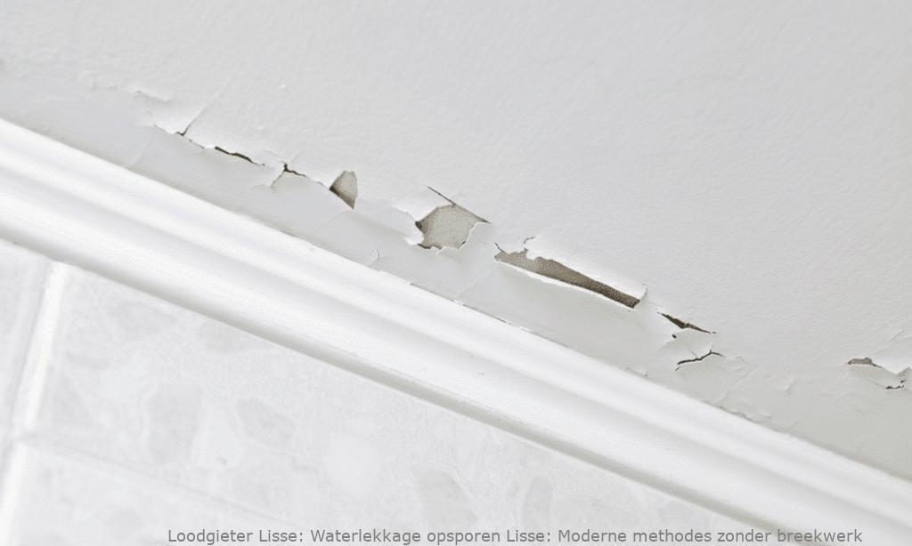 Waterlekkage Opsporen Lisse