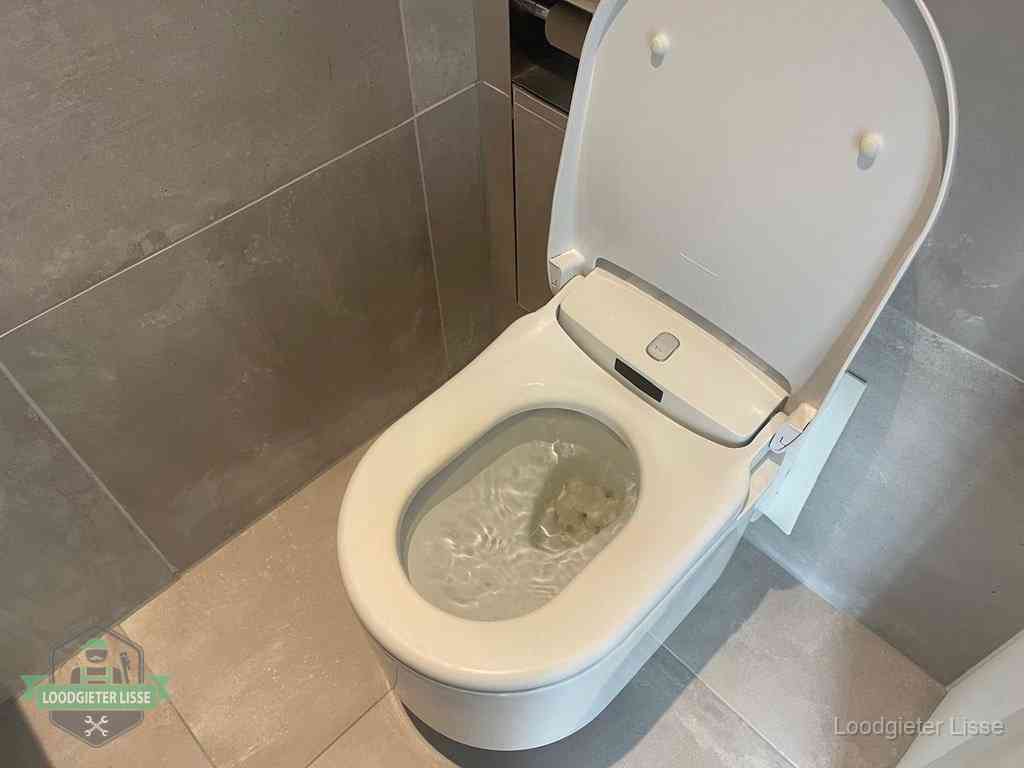Wc Verstopt In Lisse