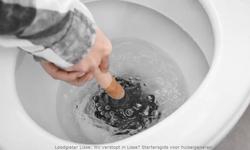 Wc Verstopt Startersgids Lisse