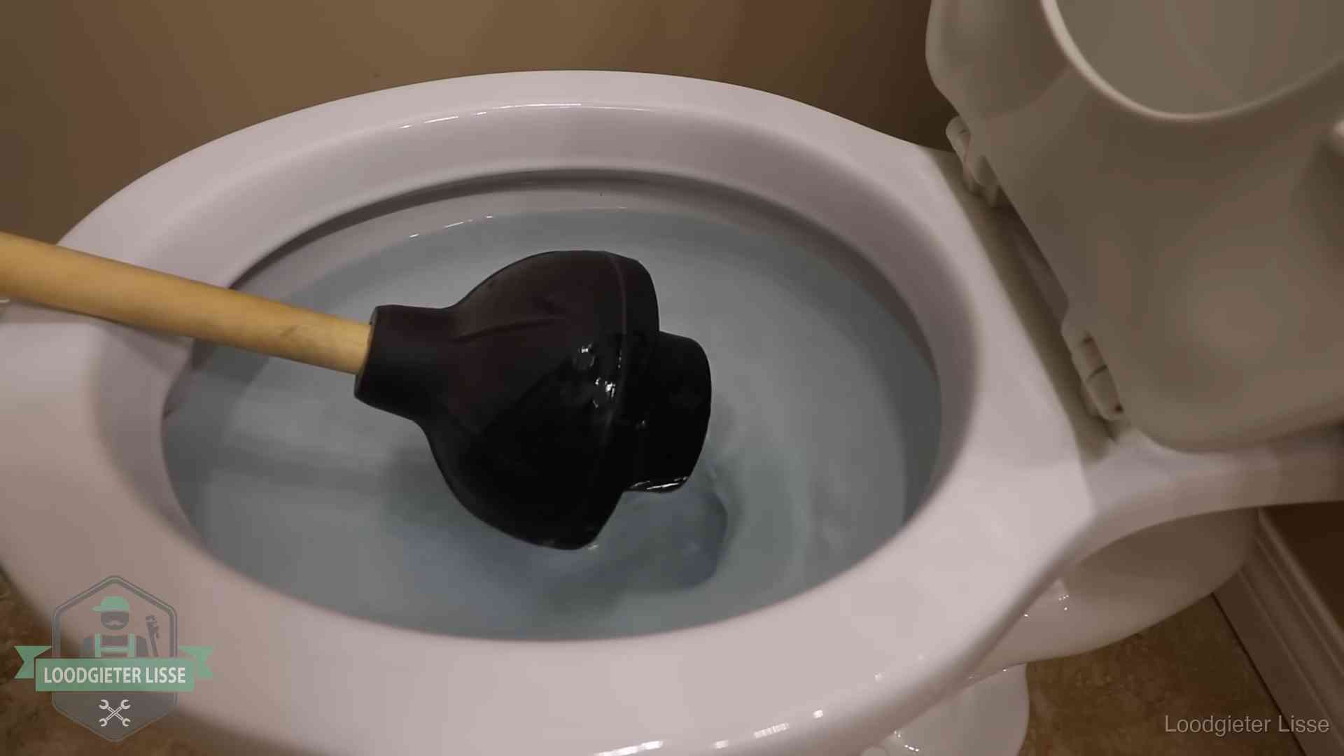 Plopper in een wc-pot die vol water staat in Lisse